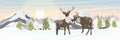 A pair of reindeer on a snowy northern plain near the spruce forest. Mountains on the horizon. Wild animals of the North, USA, Can